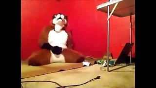 15626 anal porn videos